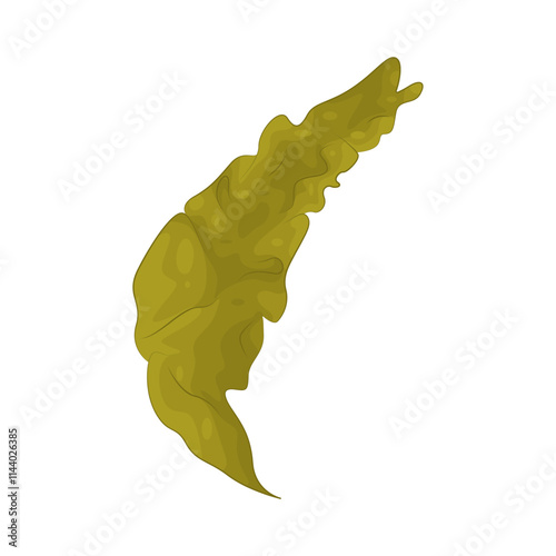 Illustration of seaweed 