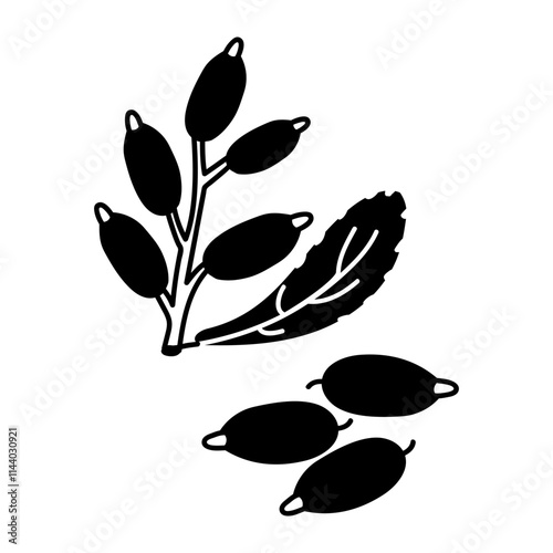 Barberry, twig and berries. Culinary berries and spices, hand-drawn. of sketches in small details. A black outline on a white background. Vector illustration. Seasonings, spices, food additives