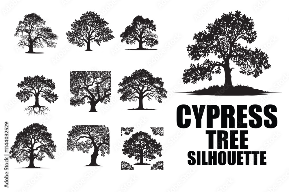 Fototapeta premium Beautiful Silhouette of a Cypress Tree in Dusk Light