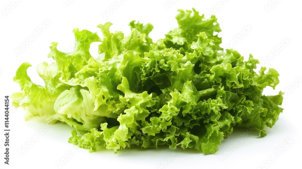 Vibrant and crisp green lettuce leaves isolated on a clean white background for fresh salad presentations and healthy meal concepts Vibrant and crisp green lettuce leaves isolated on a clean white background for fresh salad presentations and healthy meal concepts