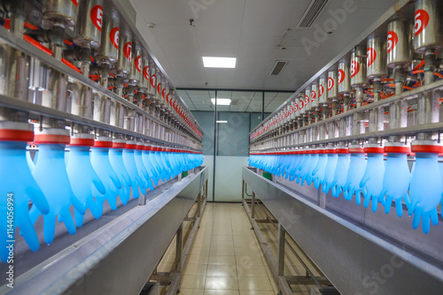 Dingqing Rubber Glove Testing Production Line