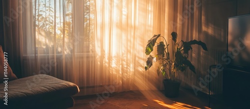 Cozy room bathed in gentle sunlight through sheer curtains creating a warm and inviting atmosphere with a peaceful indoor plant