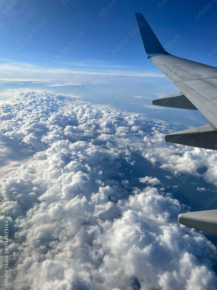 Obraz premium The wing of a passenger aircraft
