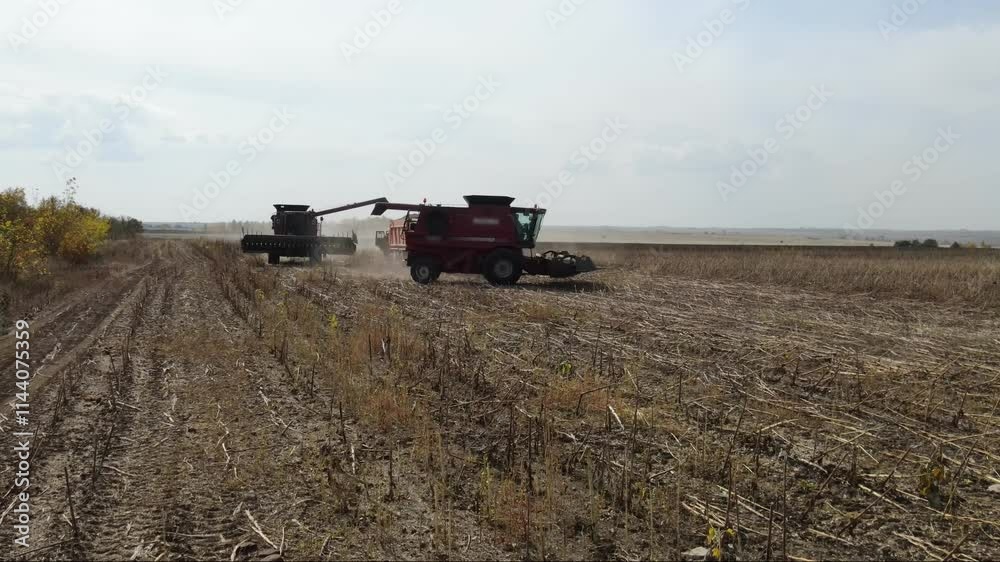 An agricultural tractor. Harvesting sunflower seeds. An agricultural tractor. Harvesting sunflower seeds.