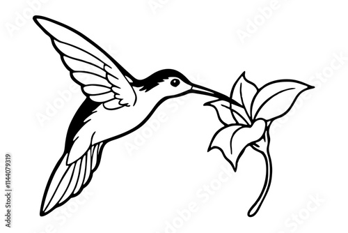 Hummingbird Sipping Nectar from Blooming Flower - Detailed Line Art for Coloring Page