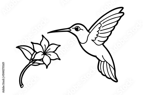 Hummingbird Sipping Nectar from Blooming Flower - Detailed Line Art for Coloring Page photo