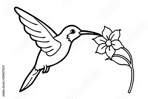 Hummingbird Sipping Nectar from Blooming Flower - Detailed Line Art for Coloring Page