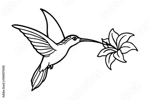 Hummingbird Sipping Nectar from Blooming Flower - Detailed Line Art for Coloring Page