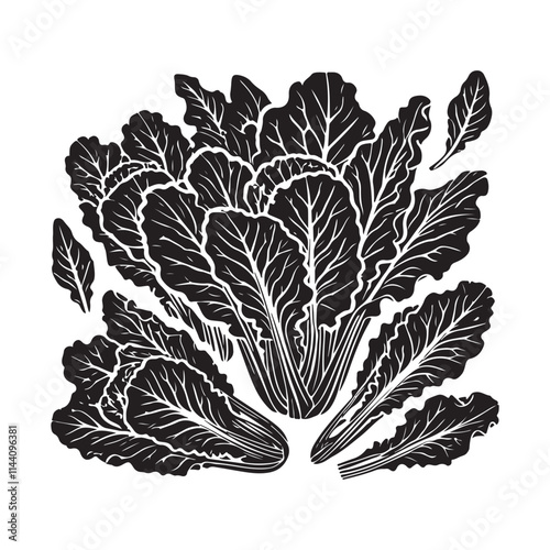 Collard Greens Silhouette Vector Illustration, Solid White Background.