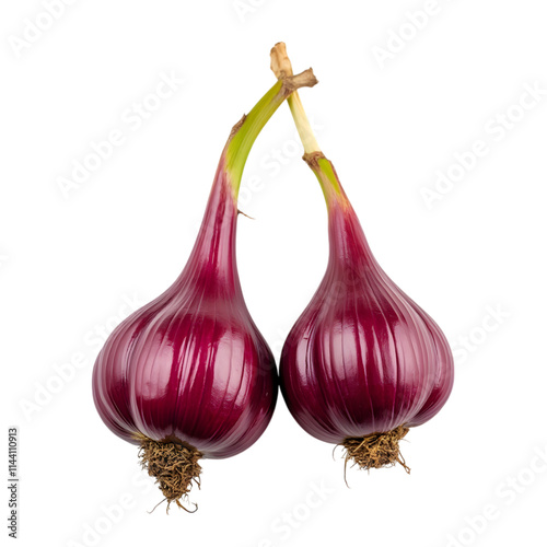 Double red onion isolated on a transparent background photo