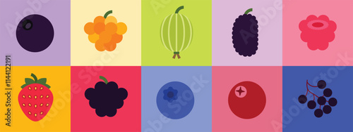 Set of Berries, Farm fresh cloudberry, black mulberry, chokeberry, red raspberry, strawberry, gooseberry, cranberry, acai berry, blueberry, blackberry, grocery shop simple flat vector illustration.