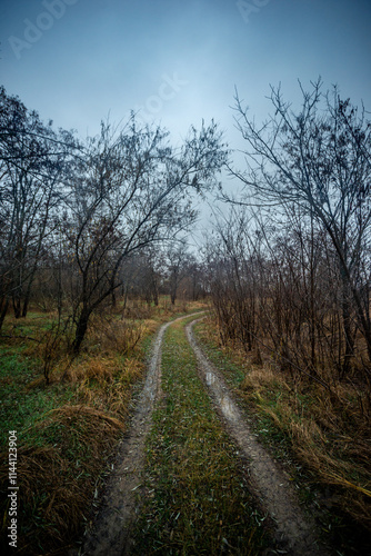 Beautiful road in the field and forest,autumn landscape in woodlands.Mystery and rainy weather with blue and grey sky, forest nature after the rain, road to the forest , water on the road.Wild nature 