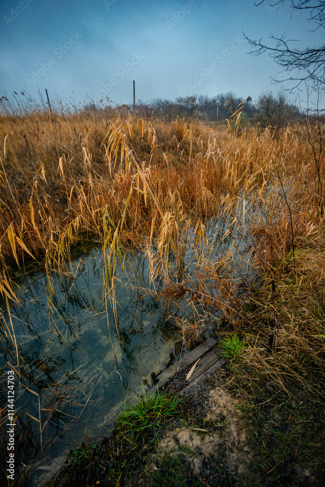 Fototapeta premium Autumn morning on the blu lake with fog , reflections on water ,landscape photography .Blue colors ,blue water ,mystery weather on the ponf.Forest near the pond , morning landscape at autumn season