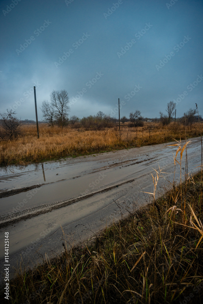 Beautiful road in the field and forest,autumn landscape in woodlands.Mystery and rainy weather with blue and grey sky, forest nature after the rain, road to the forest , water on the road.Wild nature Beautiful road in the field and forest,autumn landscape in woodlands.Mystery and rainy weather with blue and grey sky, forest nature after the rain, road to the forest , water on the road.Wild nature