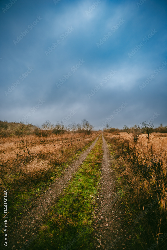 Obraz premium Beautiful road in the field and forest,autumn landscape in woodlands.Mystery and rainy weather with blue and grey sky, forest nature after the rain, road to the forest , water on the road.Wild nature 