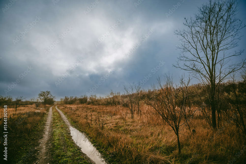 Obraz premium Beautiful road in the field and forest,autumn landscape in woodlands.Mystery and rainy weather with blue and grey sky, forest nature after the rain, road to the forest , water on the road.Wild nature 