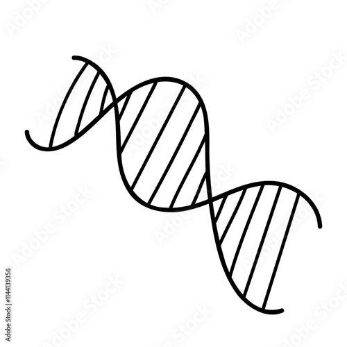 Linear representation of the structure of DNA molecules in the form of a double helix. Suitable for scientific, educational projects, illustrations on genetics, biology and research