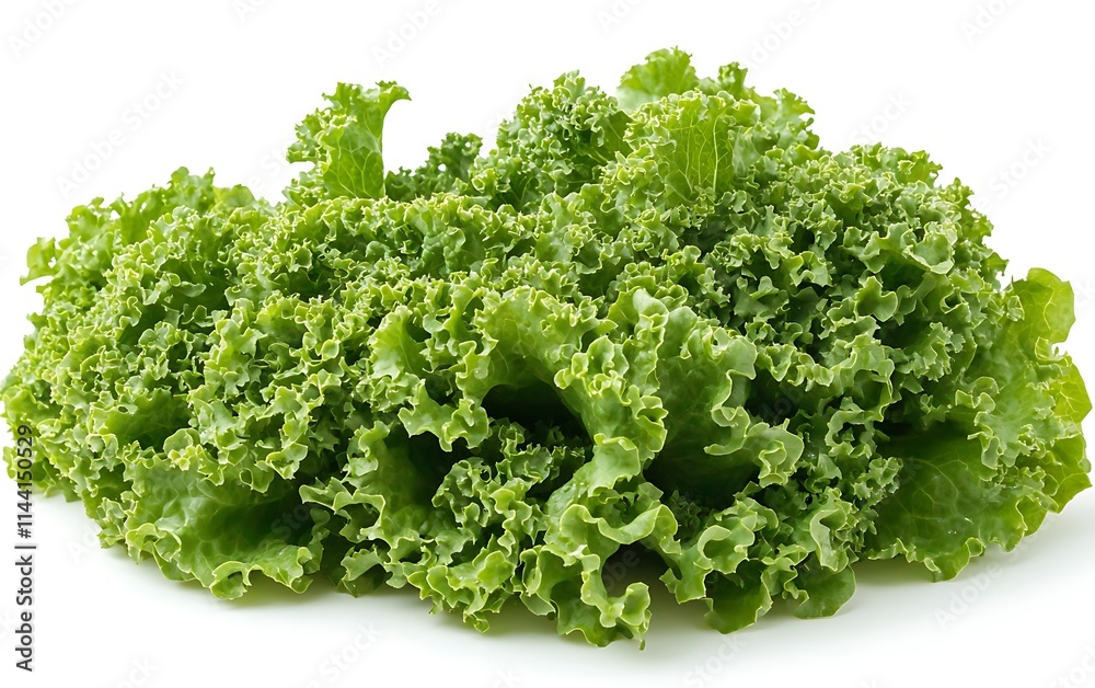 Fresh, green leaf lettuce pile isolated on white background. Fresh, green leaf lettuce pile isolated on white background.