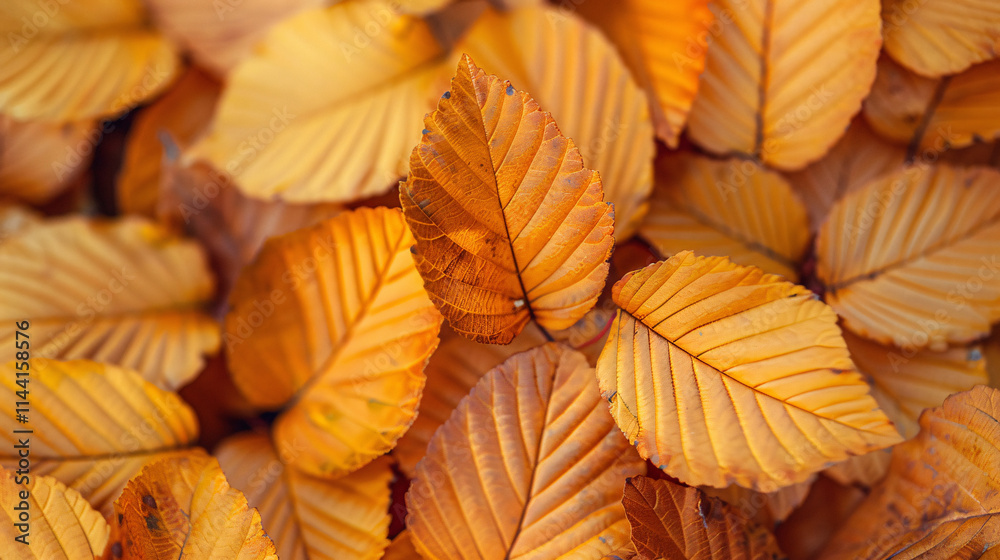 Fototapeta premium Orange and yellow autumn leaves background. Generat