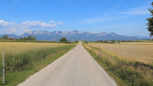 Long empty road surrounded by fields, stretching towards distant mountains under a blue sky.