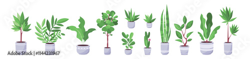Plant set