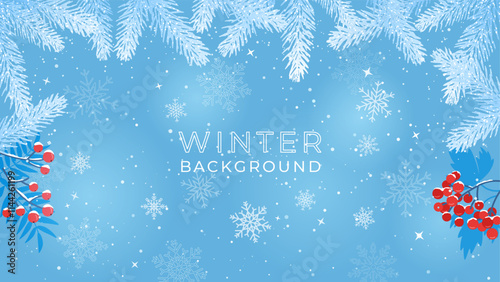 Winter background. Creative frame of realistic spruce branches, red rowan berries and viburnum. Random falling snow flakes wallpaper. Vector illustration.