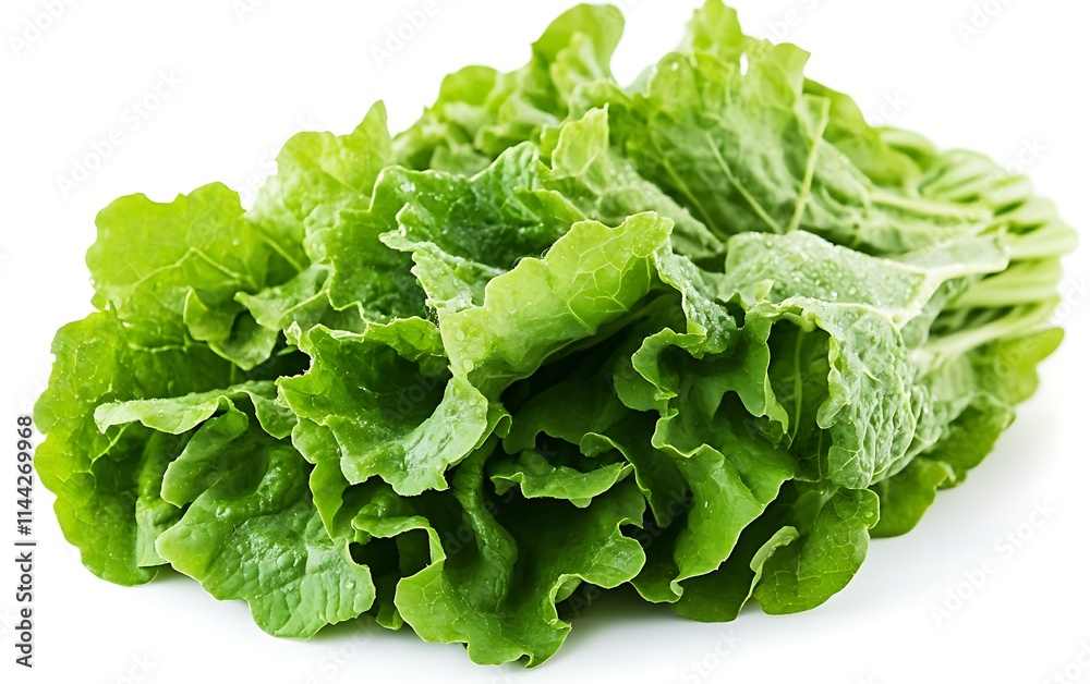 Fresh green lettuce leaves isolated on white background. (4) Fresh green lettuce leaves isolated on white background. (4)