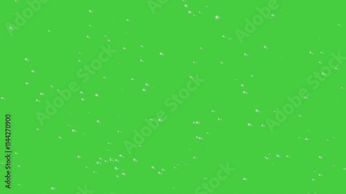 Realistic snow fall seamless loop animation. Falling snowflakes isolated on green background for chroma key. Stock video animation