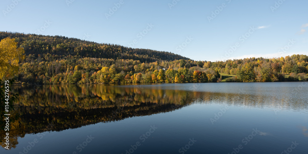 Naklejka premium Autumn