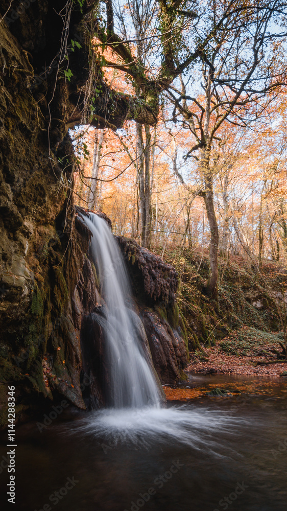 Fototapeta premium Curved Tree Over Autumn Waterfall in Basque Country Forest