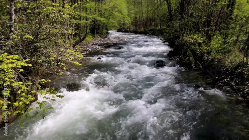 A footage of the river flowing through lush alder forests. Clean water source, clear waters.