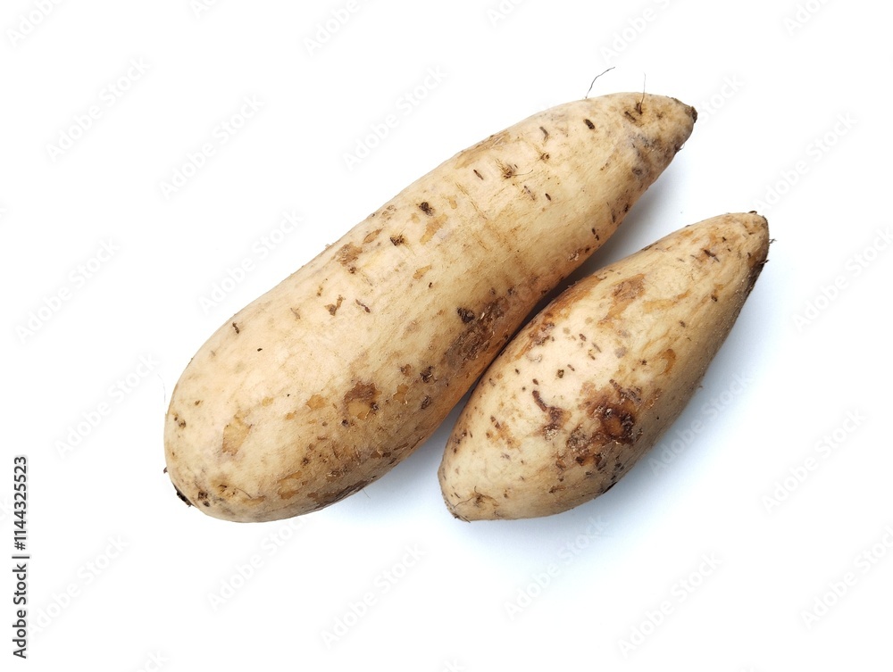 Fresh sweet potatoes isolated on white background Fresh sweet potatoes isolated on white background