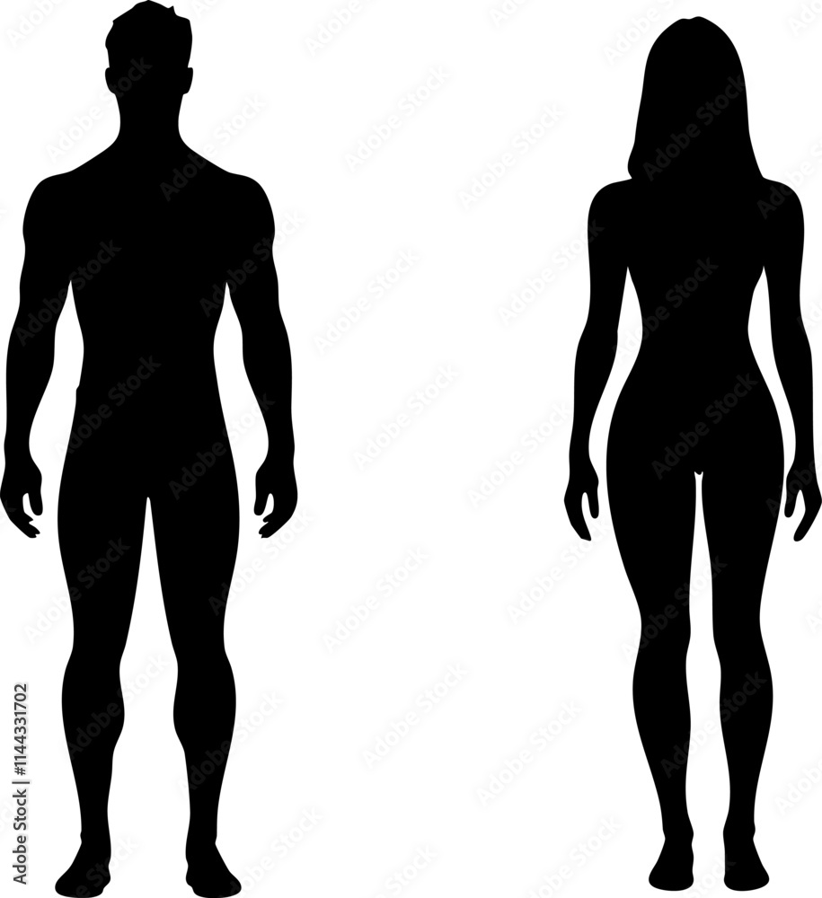 Silhouettes of a male and female figure, showcasing the human outline in a minimalist style. Silhouettes of a male and female figure, showcasing the human outline in a minimalist style.