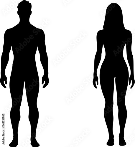Silhouettes of a male and female figure, showcasing the human outline in a minimalist style.