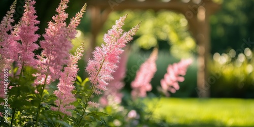 Beautiful pink flowers blooming in a lush garden during the sunny afternoon h...