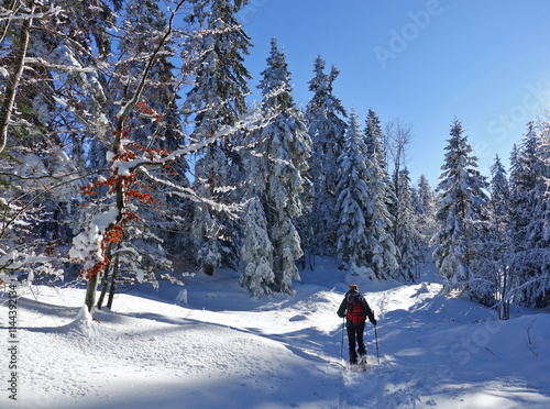 Premières neiges de décembre 2024, randonnée raquette dans le Vercors à Autrans en France