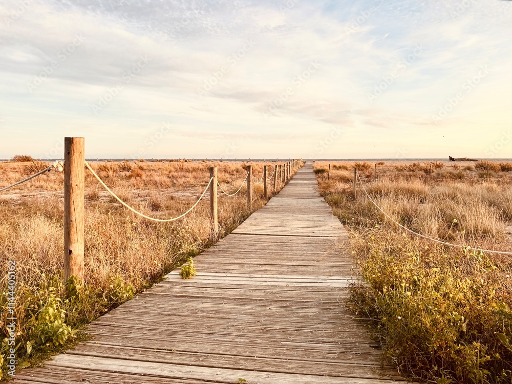 Fototapeta premium Wooden Path Leading to the Beach at Sunset, Capturing the Warm Glow of the Evening.
