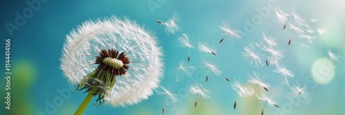 Dandelion seeds drifting through the air under a clear blue sky creating a se...