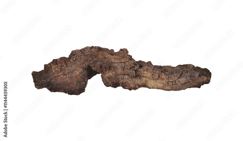 dry branches of tree transparent png dry branches of tree transparent png