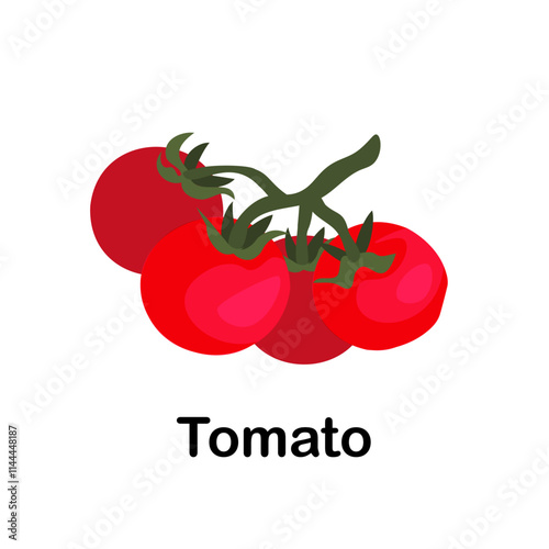 Red tomatoes on a branch. Educational cards for children with images of vegetables. Isolated vector illustration on white background.