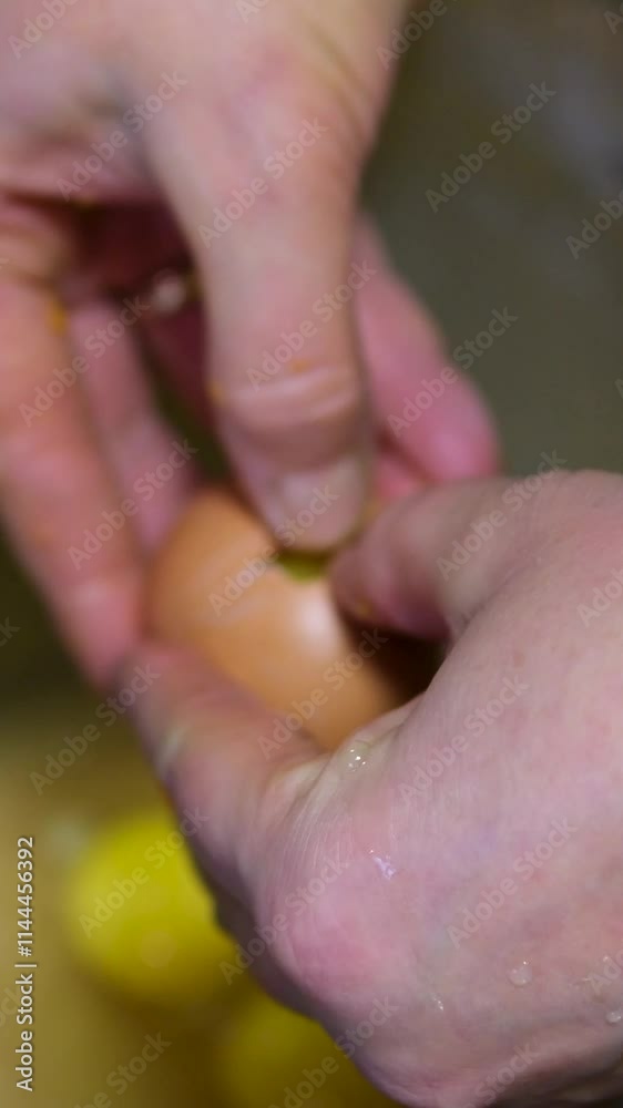 Hands of woman chef cracking eggs into ceramic bowl cooking omelette with vegetables on wooden board on kitchen table in house. Lifestyle healthy eating and traditional bakery concept. Hands of woman chef cracking eggs into ceramic bowl cooking omelette with vegetables on wooden board on kitchen table in house. Lifestyle healthy eating and traditional bakery concept.