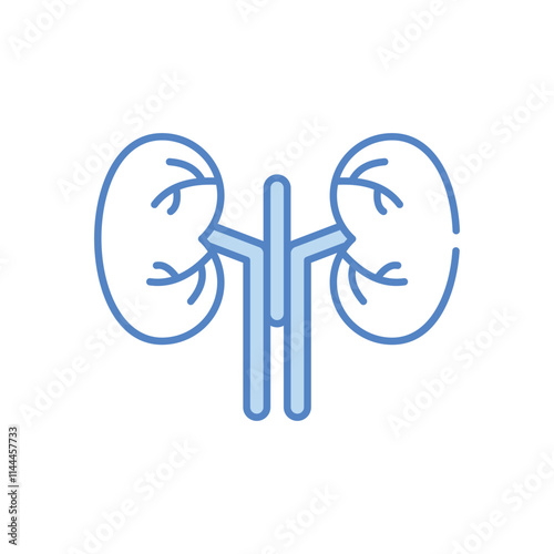 Kidney vector icon