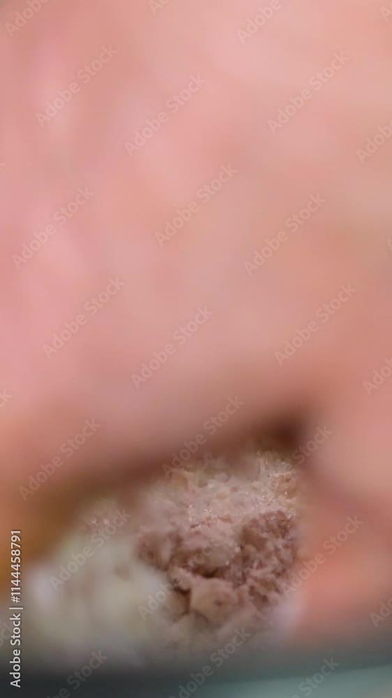 stir yeast into dough make yeast dough with your hands adult female hands bake pies for children grandma stir yeast into dough make yeast dough with your hands adult female hands bake pies for children grandma