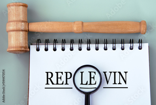 REPLEVIN - word in a notebook on a gray background with a judge's gavel photo