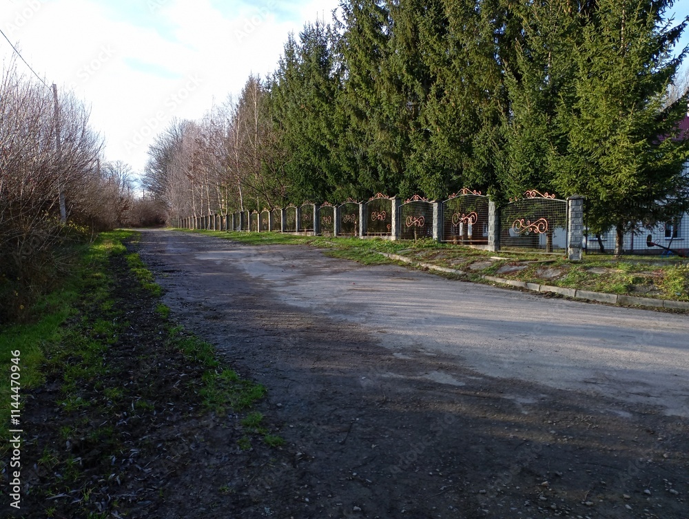 Asphalt street with tall green fir trees behind a metal fence on the side. Beautiful natural landscape. Asphalt street with tall green fir trees behind a metal fence on the side. Beautiful natural landscape.