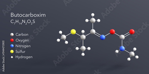 Butocarboxim molecule 3d rendering, flat molecular structure with chemical formula and atoms color coding photo