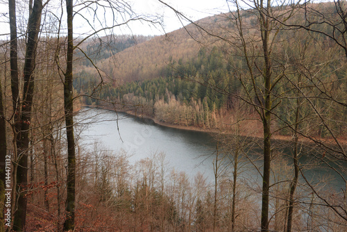 Talsperre Schönbrunn im Thüringer Wald photo