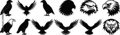 Eagle silhouette set vector design big pack of bird illustration and icon
