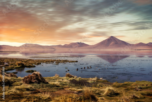 Laguna Colorada in Lipez Sur Bolivia
