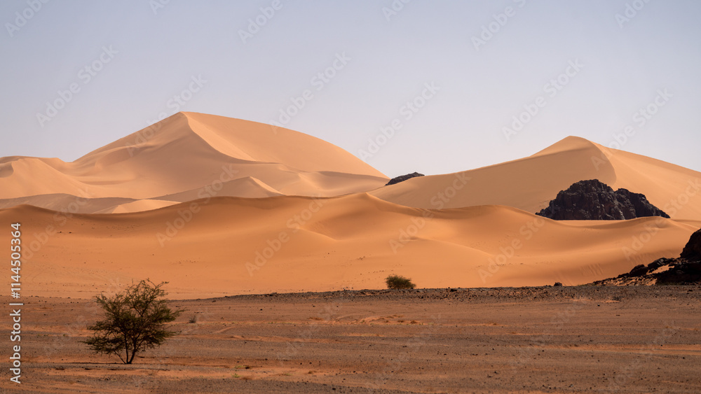 Sahara Desert Tadrart Rouge in Southern Algeria